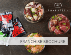 franchise brochure