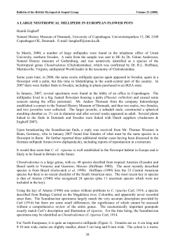 38 A LARGE NEOTROPICAL MILLIPEDE IN EUROPEAN FLOWER