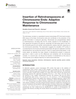 Insertion of Retrotransposons at Chromosome Ends: Adaptive