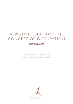 apprenticeship and the concept of occupation
