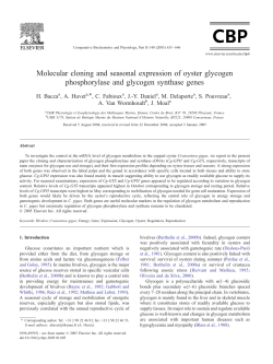 Molecular cloning and seasonal expression of oyster glycogen