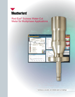 Red Eye&reg; Subsea Water-Cut Meter for Multiphase Applications
