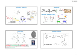 MOL WS 2016 Handout T2C Carbohydrates Primordial Soup