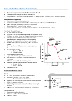 Lecture 3: Cardiac Muscle Cell: Electro