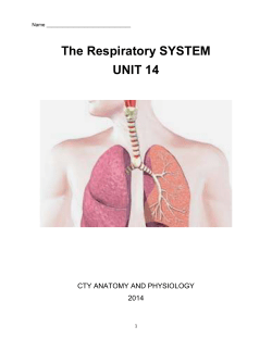 The Respiratory SYSTEM UNIT 14