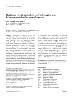 Illegitimate recombination between T cell receptor genes in humans