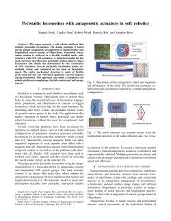Peristaltic locomotion with antagonistic actuators in soft robotics