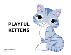 playful kittens - Paths to Literacy