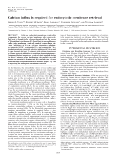 Calcium influx is required for endocytotic membrane retrieval