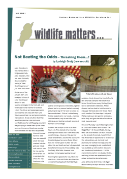 2012 March Wildlife Matters