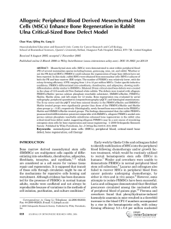 Allogenic peripheral blood derived mesenchymal stem cells (MSCs