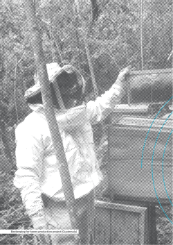 Chapter 4 - Informe de Cooperaci&oacute;n Sur