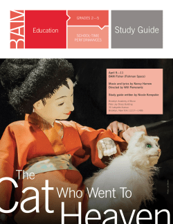 The Cat Who Went To Heaven