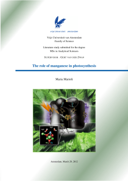Full text - UvA/FNWI