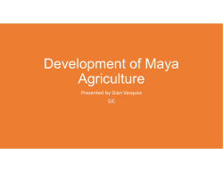 Development of Maya Agriculture