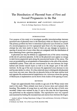 The Distribution of Placental Scars of First and