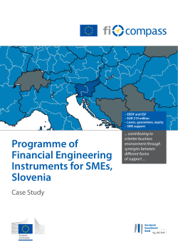Programme of Financial Engineering Instruments for - fi