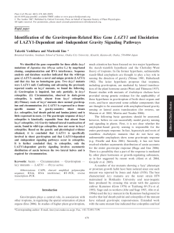 Identification of the Gravitropism