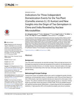 Indications for Three Independent Domestication Events for