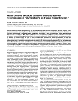 Maize Genome Structure Variation: Interplay between