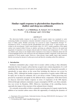 Similar rapid response to phytodetritus deposition in shallow and