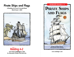 Pirate Ships and Flags