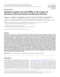 PDF - Oxford Academic - Oxford University Press
