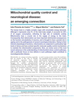 an emerging connection - Cambridge University Press