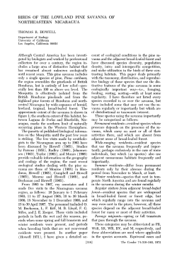 Birds of the Lowland Pine Savanna of Northeastern Nicaragua
