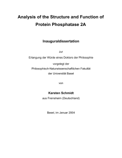 Analysis of the Structure and Function of Protein