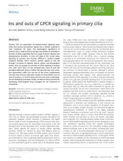 Ins and outs of GPCR signaling in primary cilia