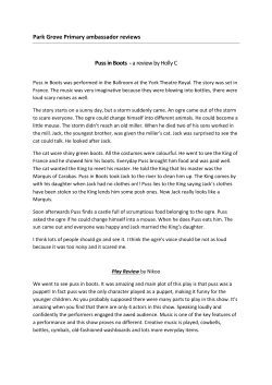 Puss In Boots Review..