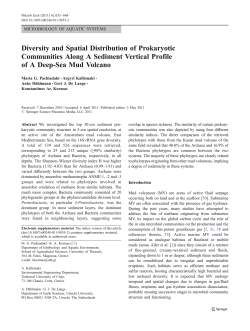Diversity and Spatial Distribution of Prokaryotic