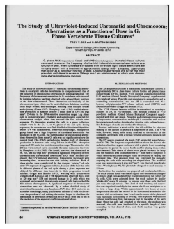 Study of Ultraviolet-Induced Chromatid and Chromosome