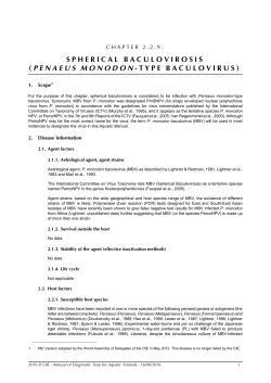 spherical baculovirosis ( penaeus monodon -type baculovirus)