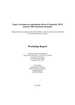 The Expert report - The Danish Environmental Protection Agency