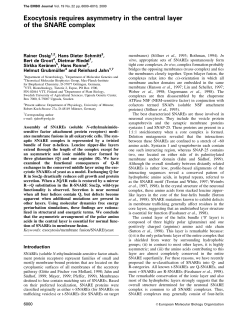 Exocytosis requires asymmetry in the central layer of the SNARE