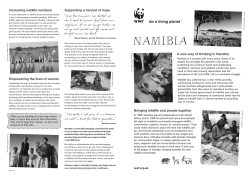 namibia