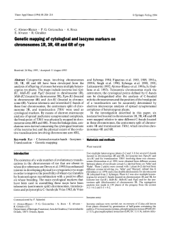 Genetic mapping of cytological and isozyme markers on