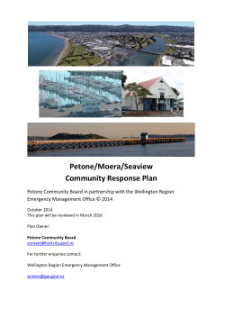 Petone/Moera/Seaview Community Response Plan