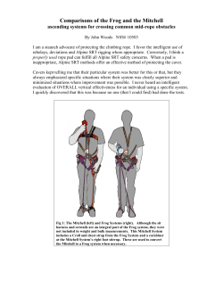 Comparisons of the Frog and the Mitchell