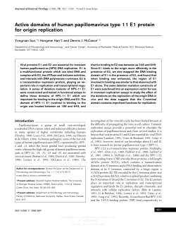 Active domains of human papillomavirus type 11 E1 protein for