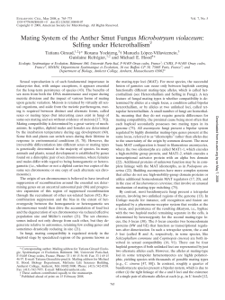 Mating System of the Anther Smut Fungus