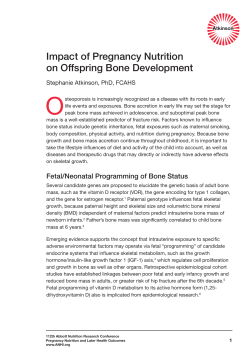 Impact of Pregnancy Nutrition on Offspring Bone
