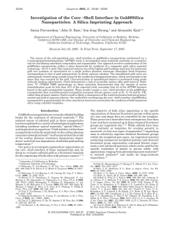 Investigation of the Core&minus; Shell Interface in Gold@ Silica
