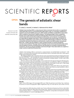 The genesis of adiabatic shear bands