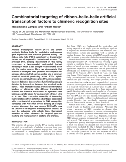Combinatorial targeting of ribbon&ndash;helix&ndash;helix artificial transcription