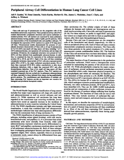 Peripheral Airway Cell Differentiation in Human Lung Cancer Cell