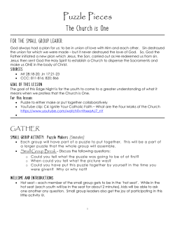 Puzzle Pieces - stpaulgenesee