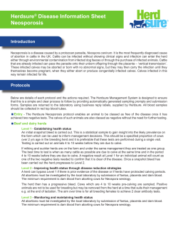 Herdsure® Disease Information Sheet Neosporosis